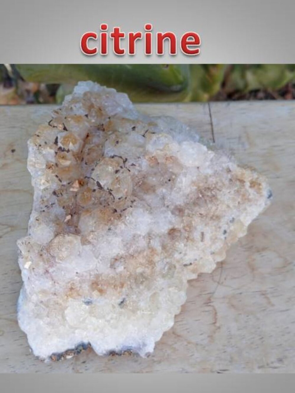 citrine crystal cluster 01 rock